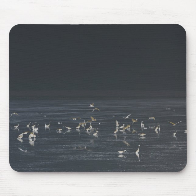 Egrets am Mitternachtsblau Mousepad (Vorne)