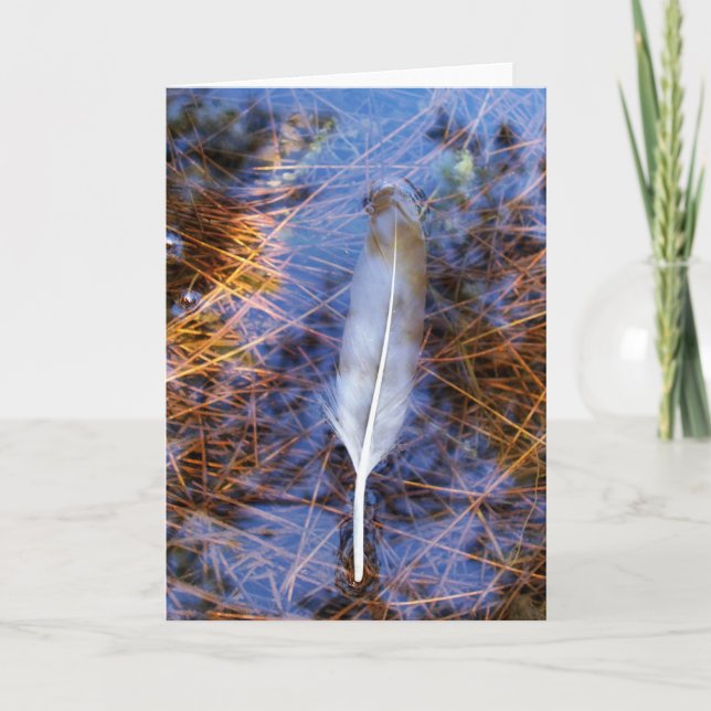 Egret's Feather Karte (Vorderseite)