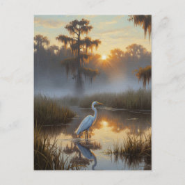 Egrets in Everglades National Park Morning Postkarte