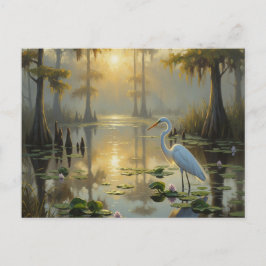 Egrets in Everglades Nationalpark Morning Postkarte