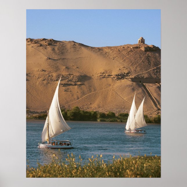 Egypt, Aswan, Nile River, Felucca sailboats, Poster (Vorne)