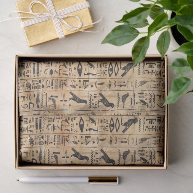 Egyptian hieroglyphics Birds Pattern 2 Seidenpapier (Geschenk)