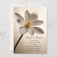 Ehe/Verkündung der weißen Wildblume
