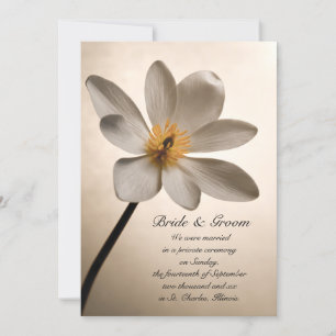 Ehe/Verkündung der weißen Wildblume Ankündigung