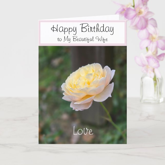 Ehefrau Geburtstag Blume oder für jedermann Karte (Orchidee)