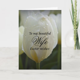 Ehefrau / Osterwünsche - Eleganter Weißer Tulip Feiertagskarte