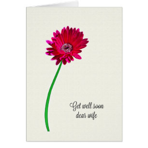 Ehefrau wird bald gut gestrichen Blume