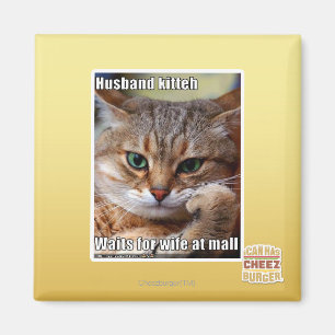 Ehemann Kitteh Magnet