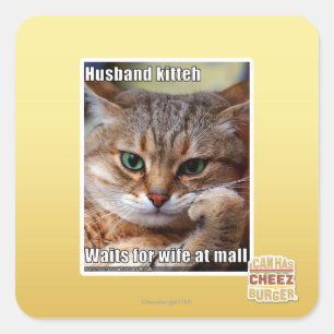 Ehemann Kitteh Quadratischer Aufkleber