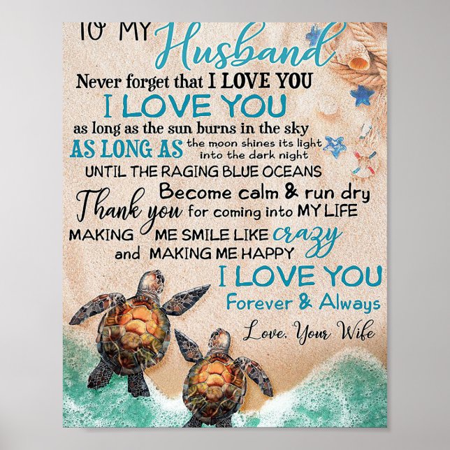 Ehemann meiner Schildkröte Poster (Vorne)