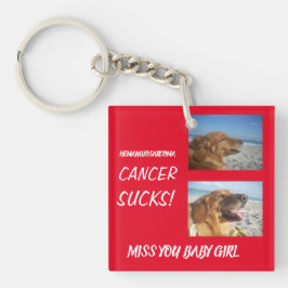 Ehre des Hundes, der an Hämangiosarkom-Krebs verlo Schlüsselanhänger