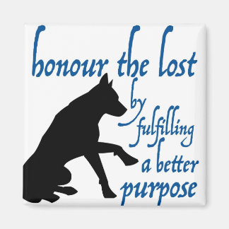 ehren die verloren gegangenen magnet