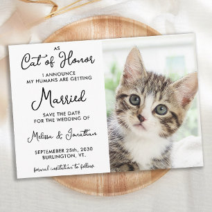 Ehrenkatze Foto für Haustiere Lässig Hochzeit Save The Date