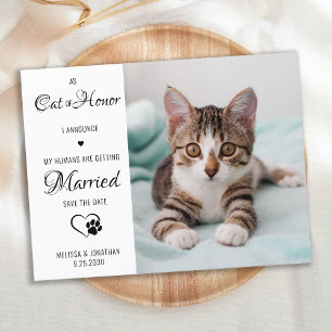 Ehrenkatze Foto für Hochzeiten Save the Date Ankündigungspostkarte