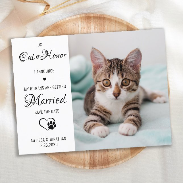 Ehrenkatze Foto für Hochzeiten Save the Date Ankündigungspostkarte (Von Creator hochgeladen)