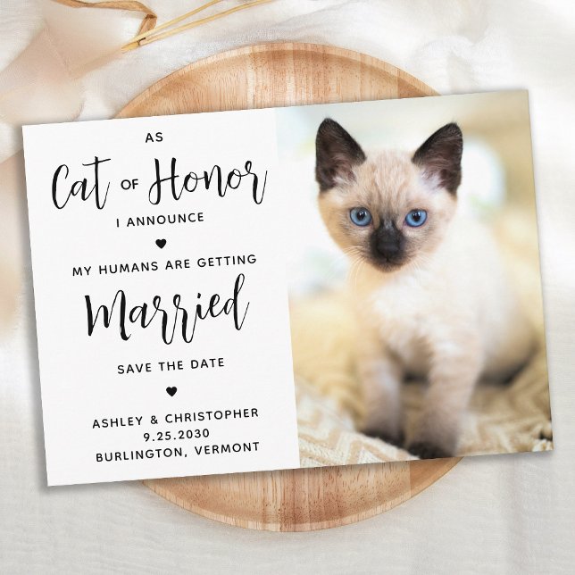 Ehrenkatze Save The Date (Von Creator hochgeladen)