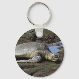 Ehrenruhen auf den warmen Felsen Schlüsselanhänger