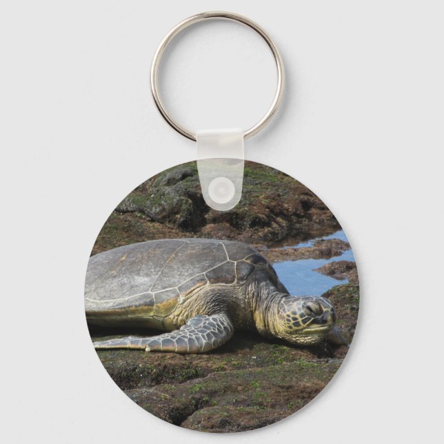 Ehrenruhen auf den warmen Felsen Schlüsselanhänger (Vorderseite)