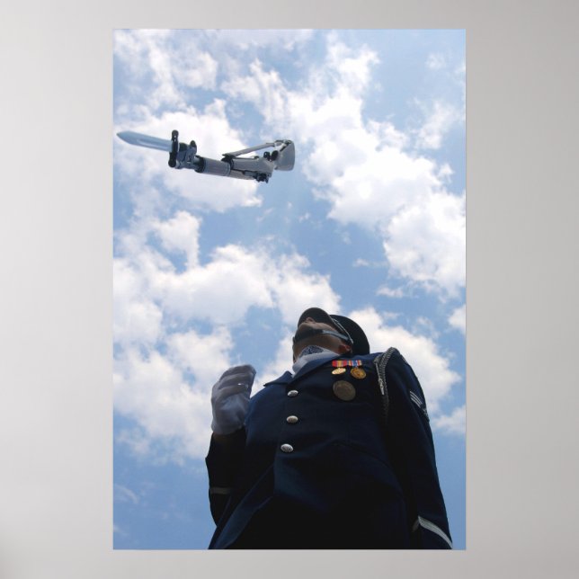 Ehrenwache-Team der Luftwaffe Poster (Vorne)