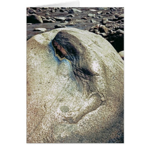 Ehrerbietung zu den Andenfrauen/zu faltender Karte