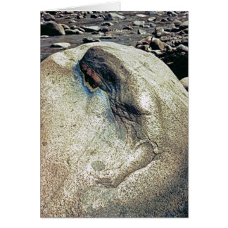 Ehrerbietung zu den Andenfrauen/zu faltender Karte