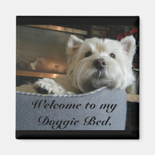 Ehrwürdiger Westie Foto-Magnet Magnet