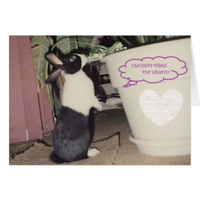 Ei durch friedwilde (Vorderseite (Horizontal))