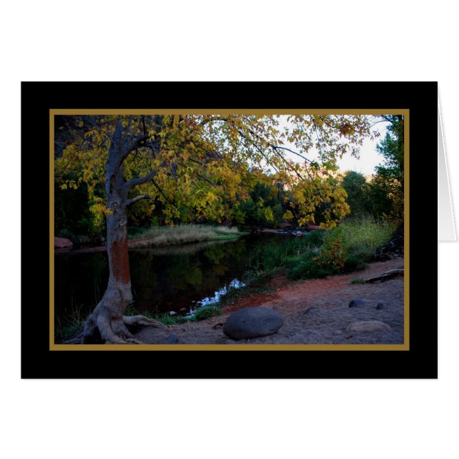 Eiche 246 (Vorderseite (Horizontal))