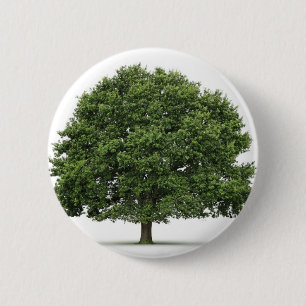 Eiche Button