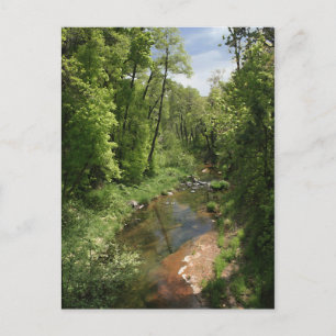 Eiche Creek 1 Postkarte
