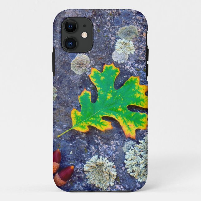 Eiche Leaf und Acorns auf einem von Lichen bedeckt Case-Mate iPhone Hülle (Rückseite)
