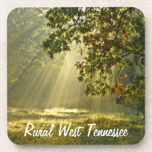 Eiche mit MorgenSunbeams Getränkeuntersetzer