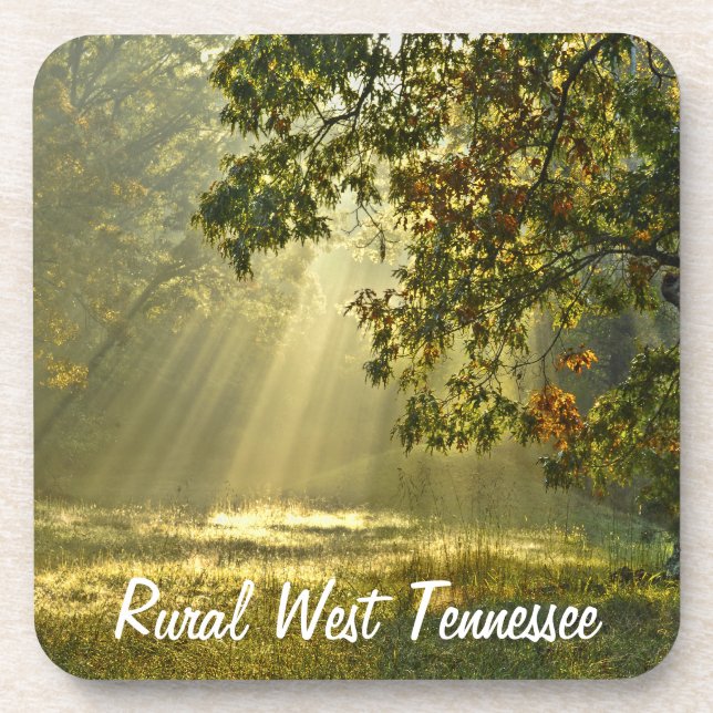 Eiche mit MorgenSunbeams Getränkeuntersetzer (Vorderseite)