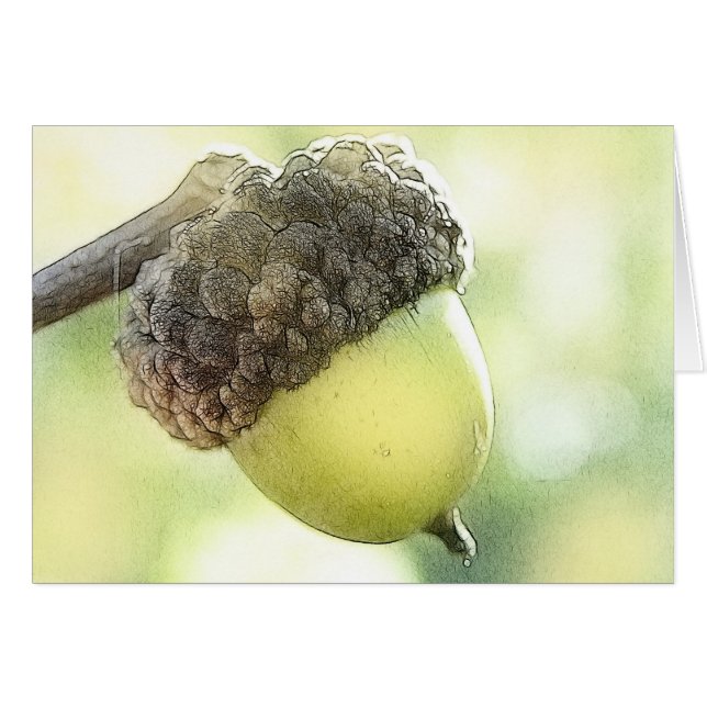 Eichel (Vorderseite (Horizontal))