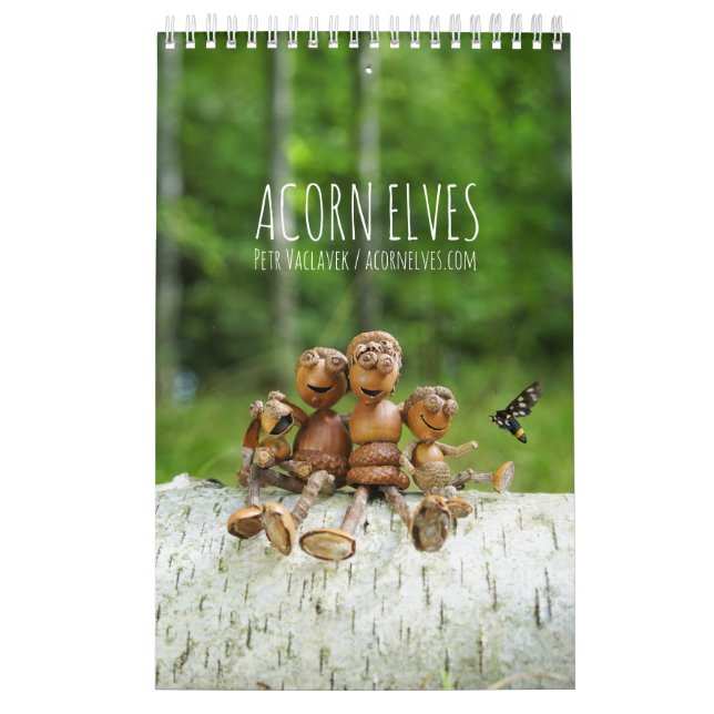 Eichel-Elfen / Dubanci-Fotokalender Kalender (Titelbild)