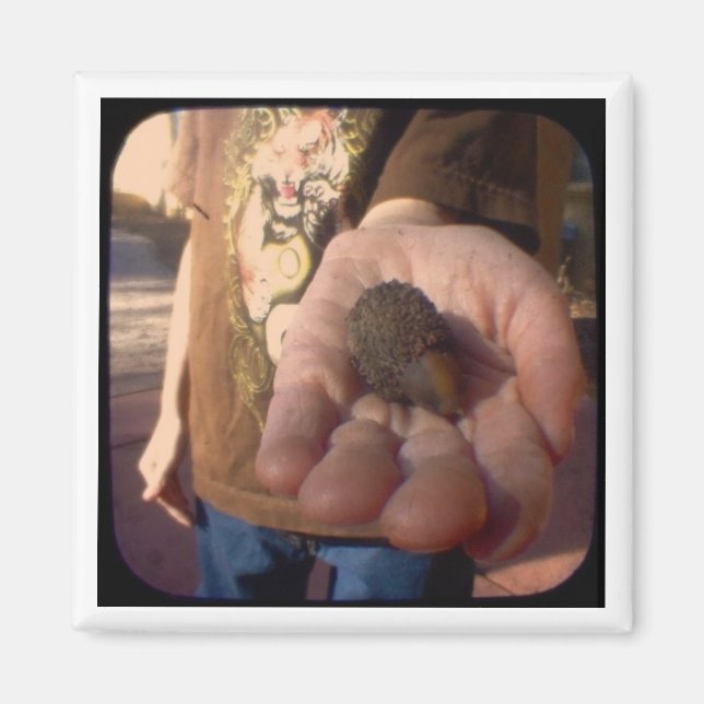 Eichel? Magnet (Vorne)