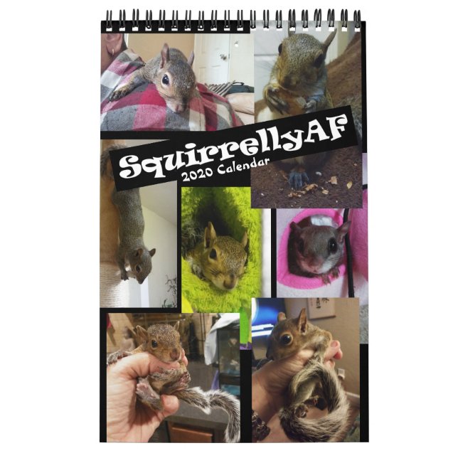 Eichel Rehab| SquirrellyAF 2020 Wall Calendar Kalender (Titelbild)