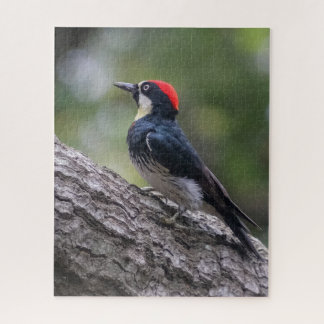 Eichelspecht-Puzzle | Waldvogel-Kunst Puzzle