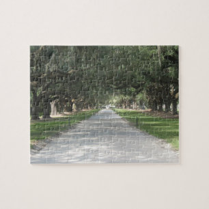 Eichen-Gasse bei Boone Hall, Charleston Puzzle