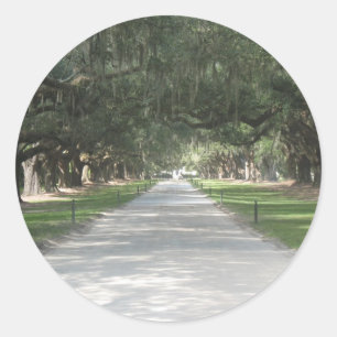 Eichen-Gasse bei Boone Hall, Charleston Runder Aufkleber