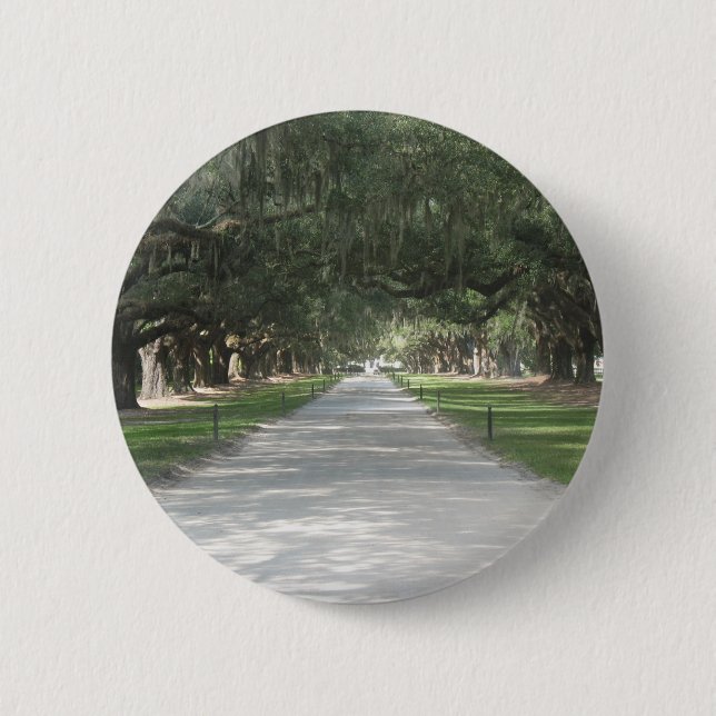 Eichen-Gasse bei Boone Hall, Charleston Sc-Knopf Button (Vorderseite)