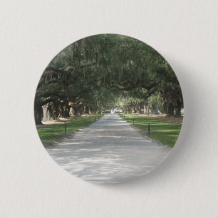Eichen-Gasse bei Boone Hall, Charleston Sc-Knopf Button