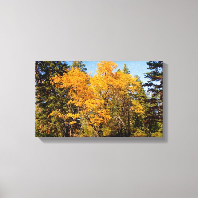 Eichen im Herbst Leinwanddruck (Vorderseite)