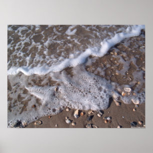 Eichen-Insel, Nord-Carolina - Sand und Muscheln Poster