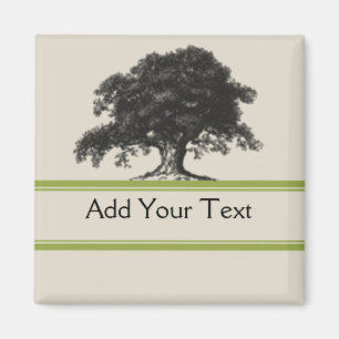 Eichen-Plantage im Grün Magnet