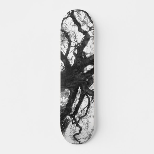 Eichen-Skateboard Skateboard (Vorne)