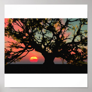 Eichen-Sonnenuntergang Poster