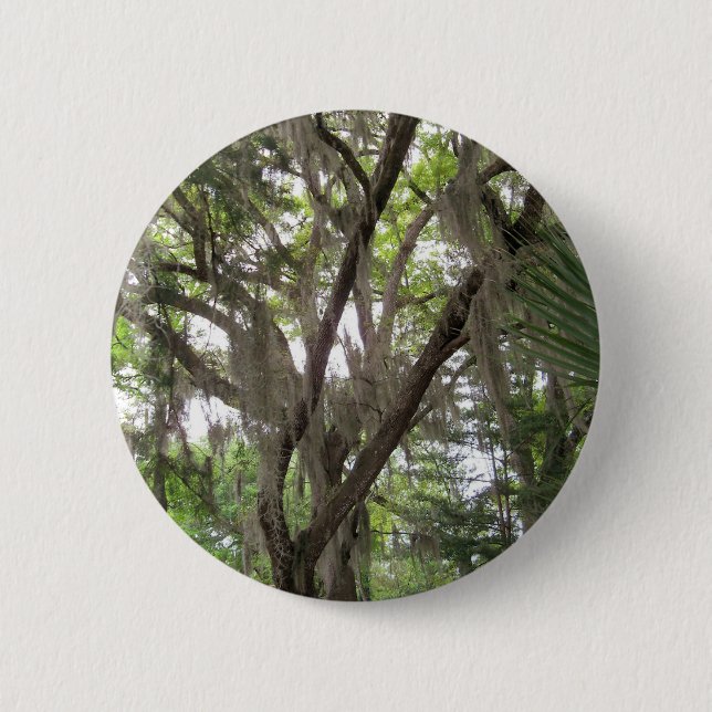 Eichenbaum mit spanischem Moos in den Ästen Button (Vorderseite)