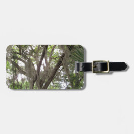 Eichenbaum mit spanischem Moos in den Ästen Gepäckanhänger