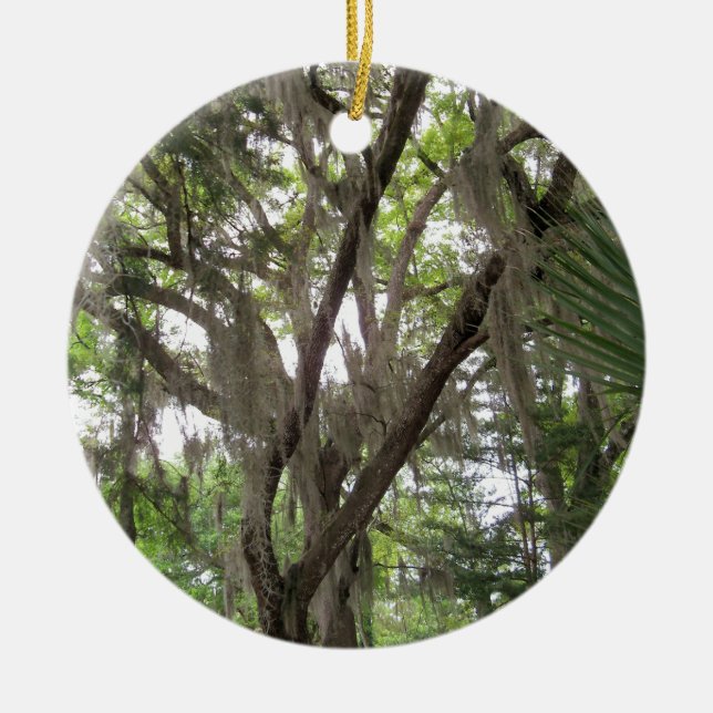 Eichenbaum mit spanischem Moos in den Ästen Keramik Ornament (Vorne)